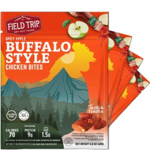 Field Trip Beef Jerky Review